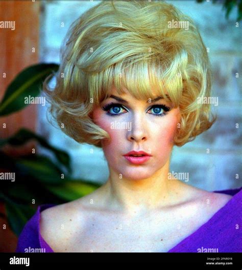 stella stevens hot|482 Actress Stella Stevens Stock Photos & High